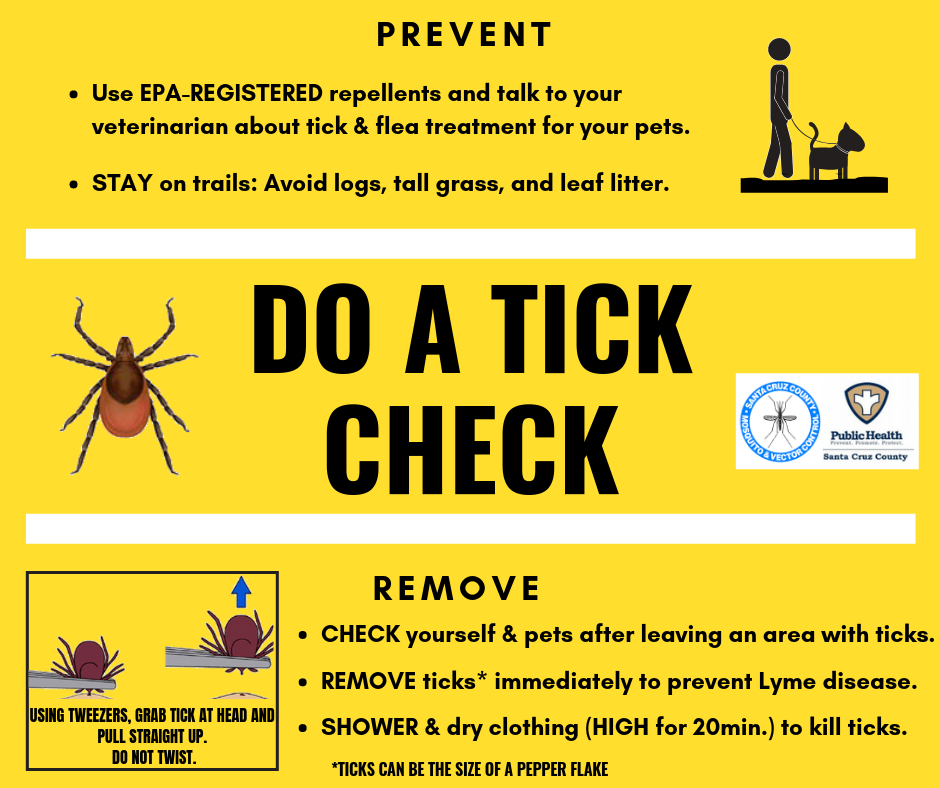 Ticks